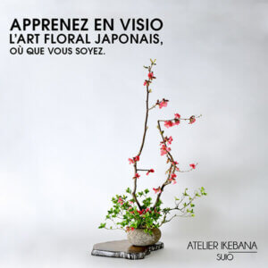 Cours ikebana pour débutants et/ou confirmés  de 18h00 à 19h00 le 04 décembre 2025